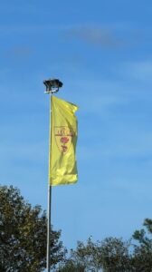 Ripresa della preparazione