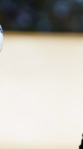 Ripresa della preparazione a Martignano