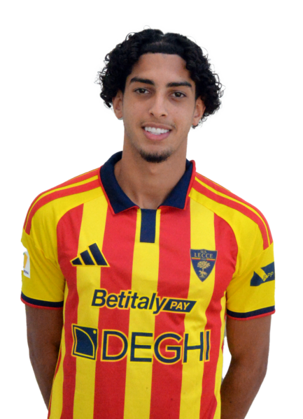 Walid El Bouradi